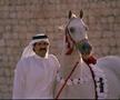 Clubul ecvestru  Al Shaqab