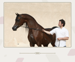 Clubul ecvestru  Al Shaqab