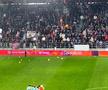 Nu au ținut cont de părerea liderului galeriei sau de vreme » Jucării aruncate în apă la Rapid - CFR Cluj