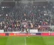 Fani Rapid - jucării de pluș