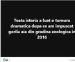Cele mai tari meme-uri după anularea turului 2 de la prezidențiale