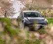 Pe fondul scăderii vânzărilor, Tesla aduce în Europa cea mai accesibilă versiune de sedan electric de până acum