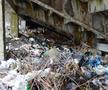 Sub tribune e un adevărat focar de infecție, munți de deșeuri adunați în timp