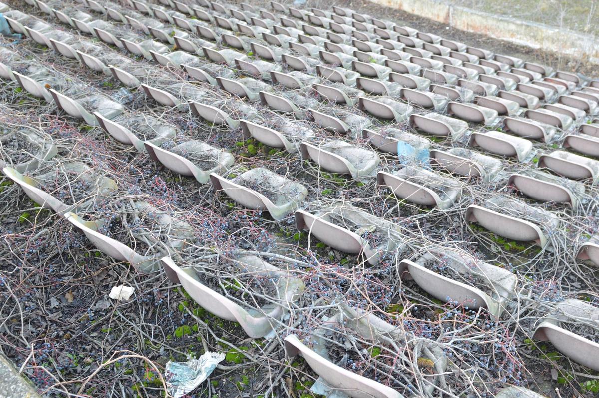 EXCLUSIV „Municipalul” din Bacău, „arena groazei”! Imagini cu stadiul dezastruos în care se află acum stadionul care obișnuia să adune 20.000 de spectatori