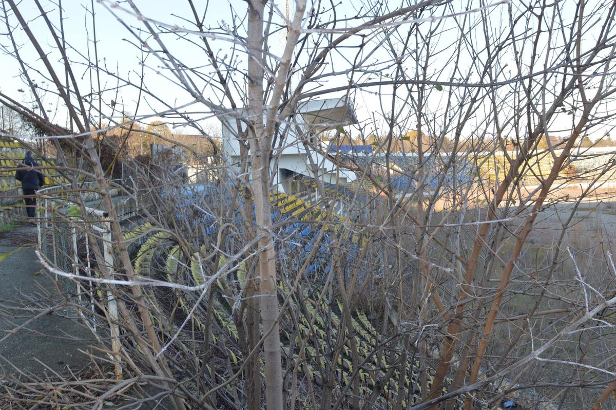 EXCLUSIV „Municipalul” din Bacău, „arena groazei”! Imagini cu stadiul dezastruos în care se află acum stadionul care obișnuia să adune 20.000 de spectatori