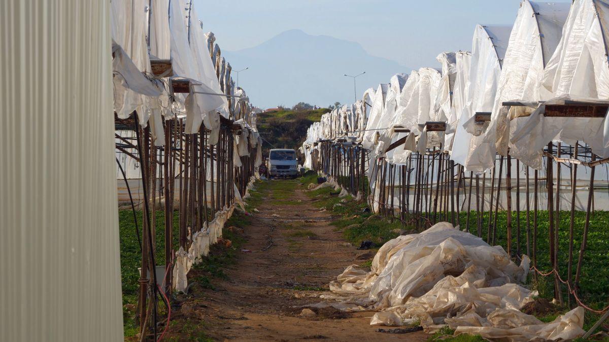 O altfel de Antalya » Peisajul din jurul hotelurilor de lux unde se pregătesc echipele din Liga 1 este dezolant: stâne de oi, sărăcie maximă și multe sere jerpelite