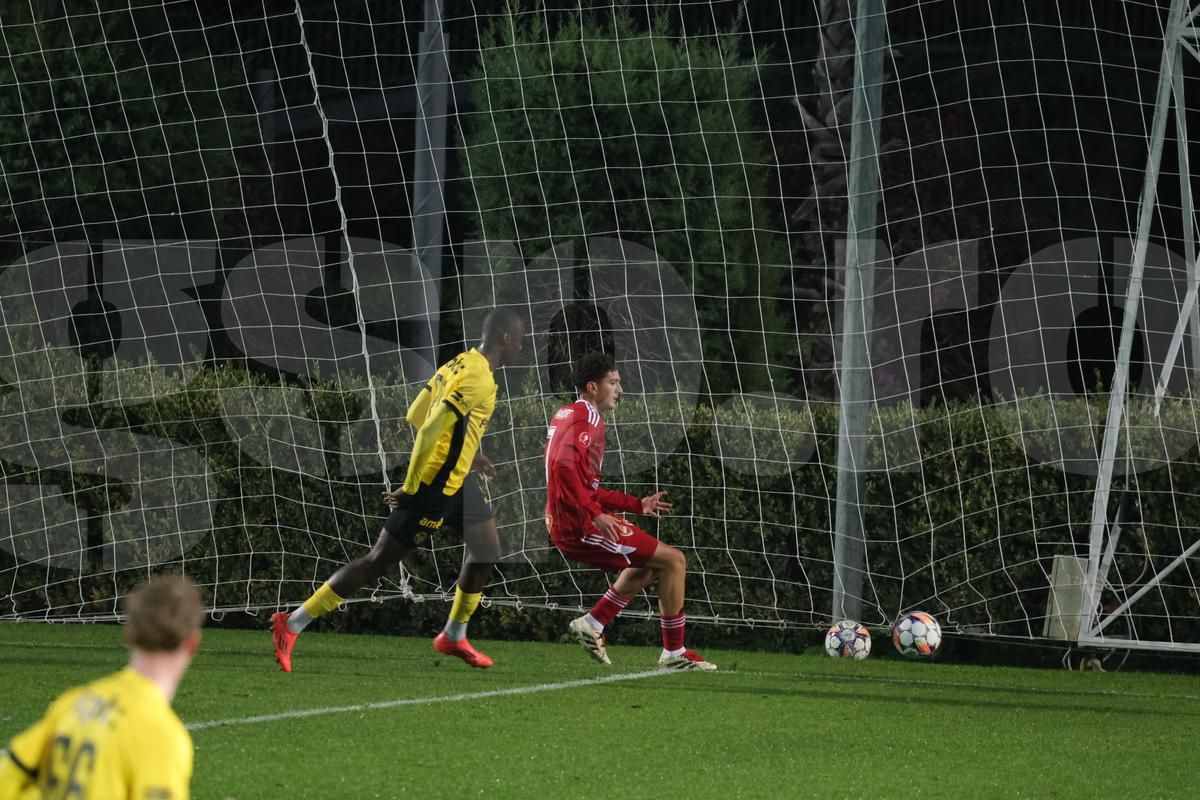 Amical Sepsi - Young Boys