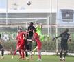 Imagini de la amicalul Hermannstadt - Alemannia Aachen 3-0 FOTO: Ionuţ Iordache (GSP)