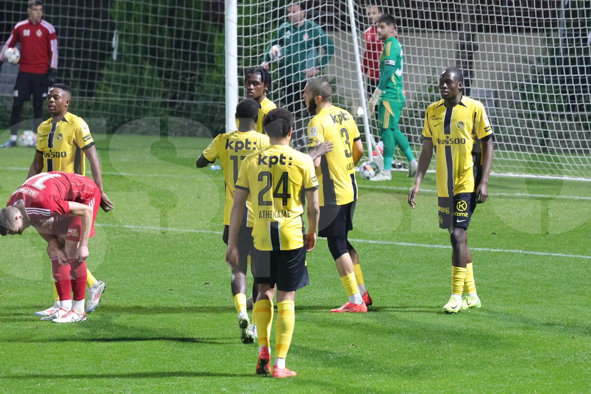 Amical Sepsi - Young Boys
