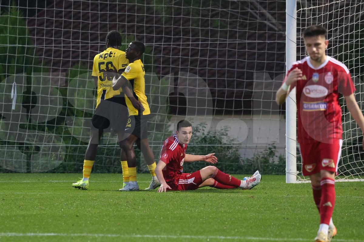 Amical Sepsi - Young Boys