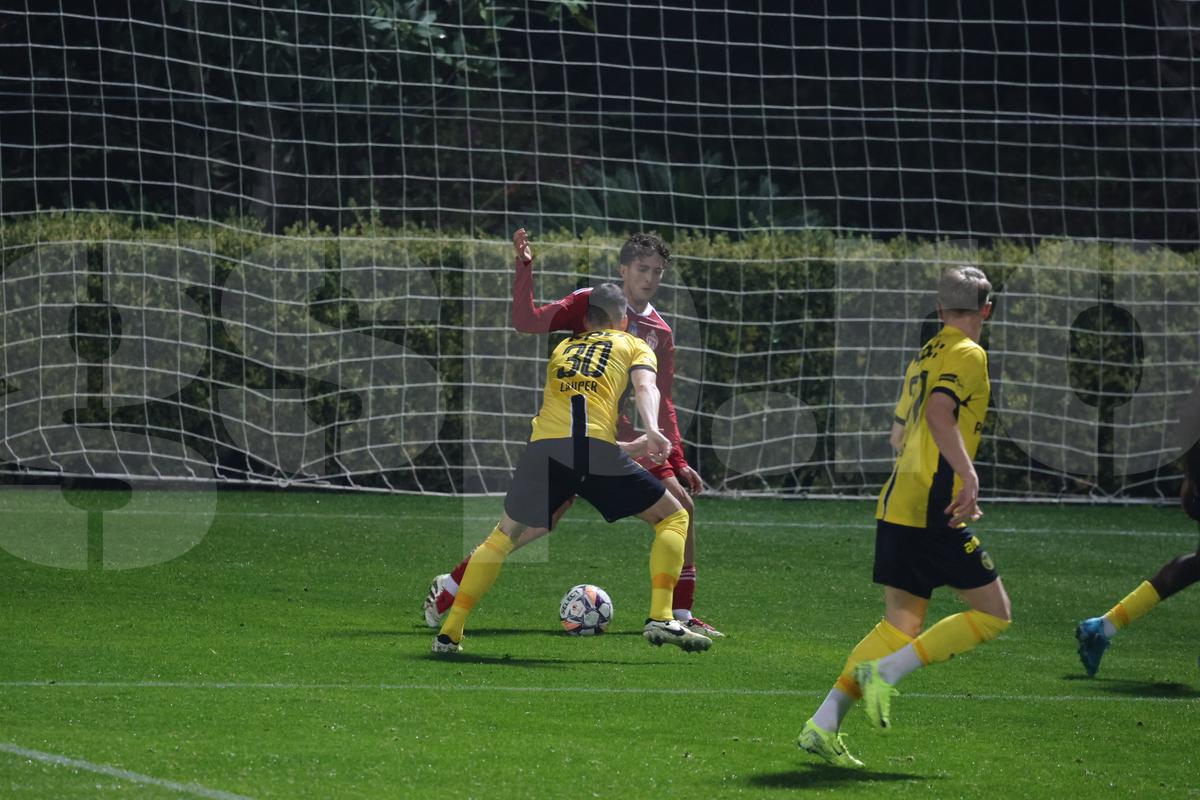 Amical Sepsi - Young Boys
