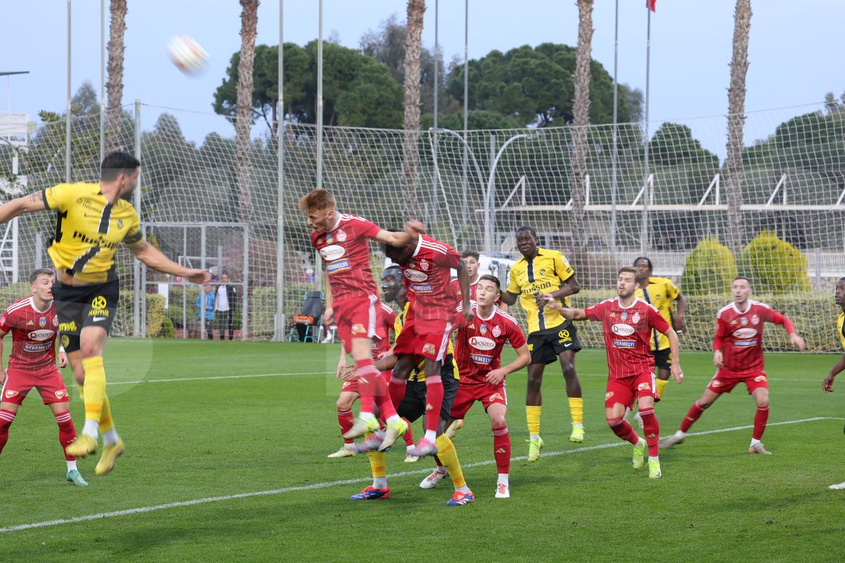 Amical Sepsi - Young Boys