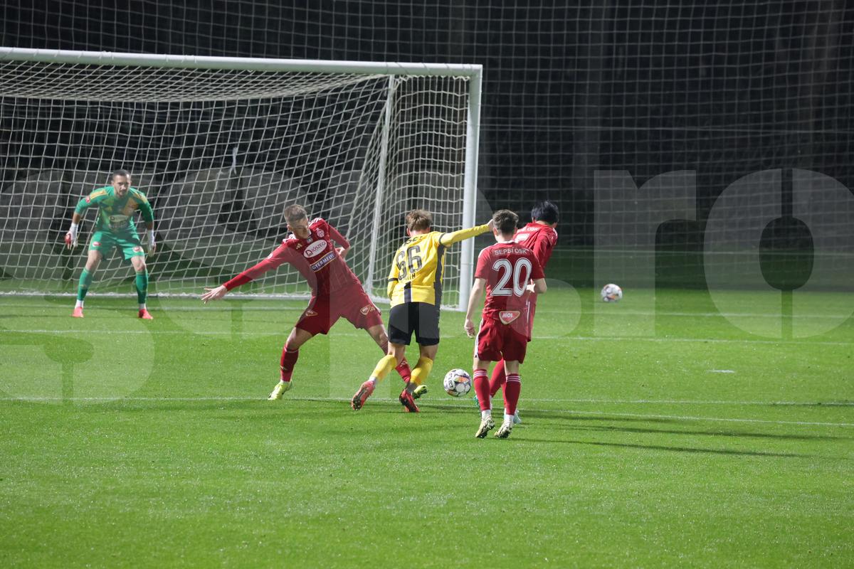 Amical Sepsi - Young Boys