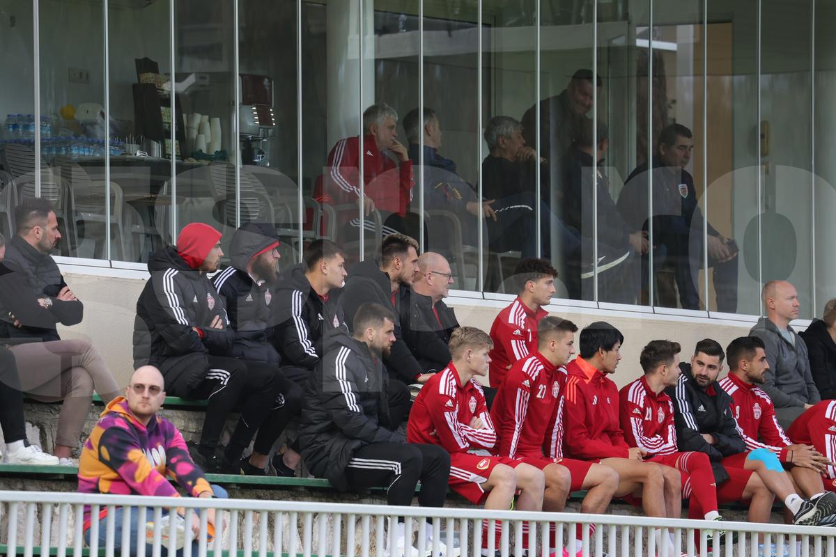 Amical Sepsi - Young Boys