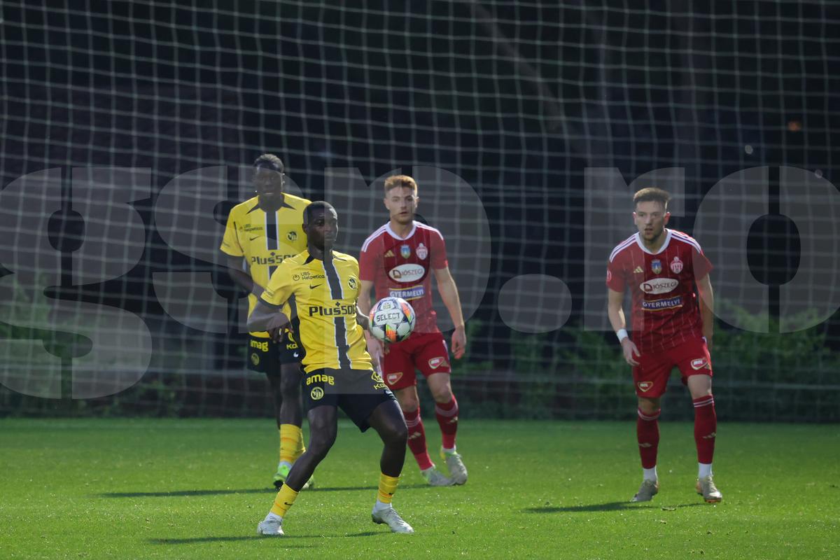 Amical Sepsi - Young Boys