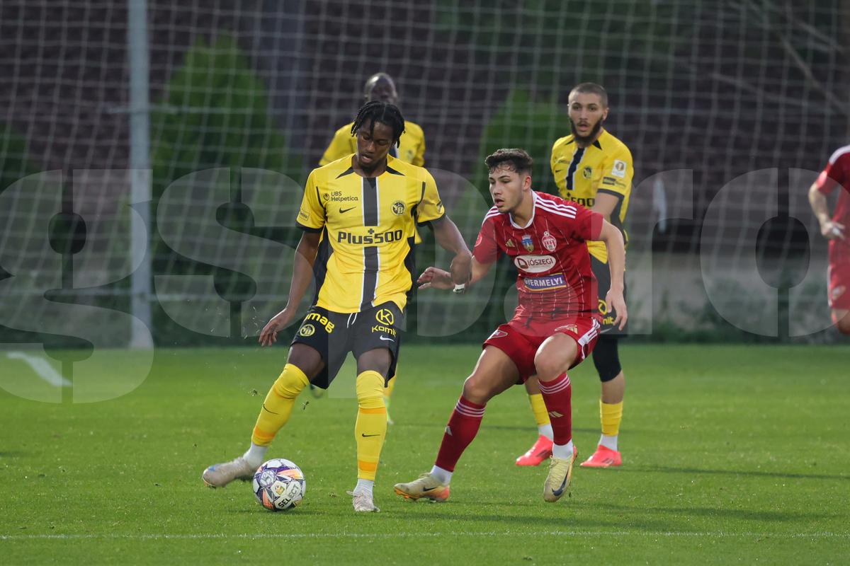 Amical Sepsi - Young Boys