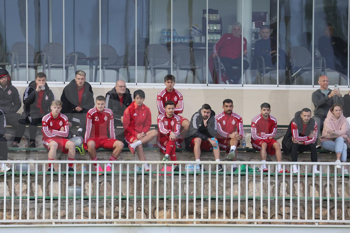 Amical Sepsi - Young Boys