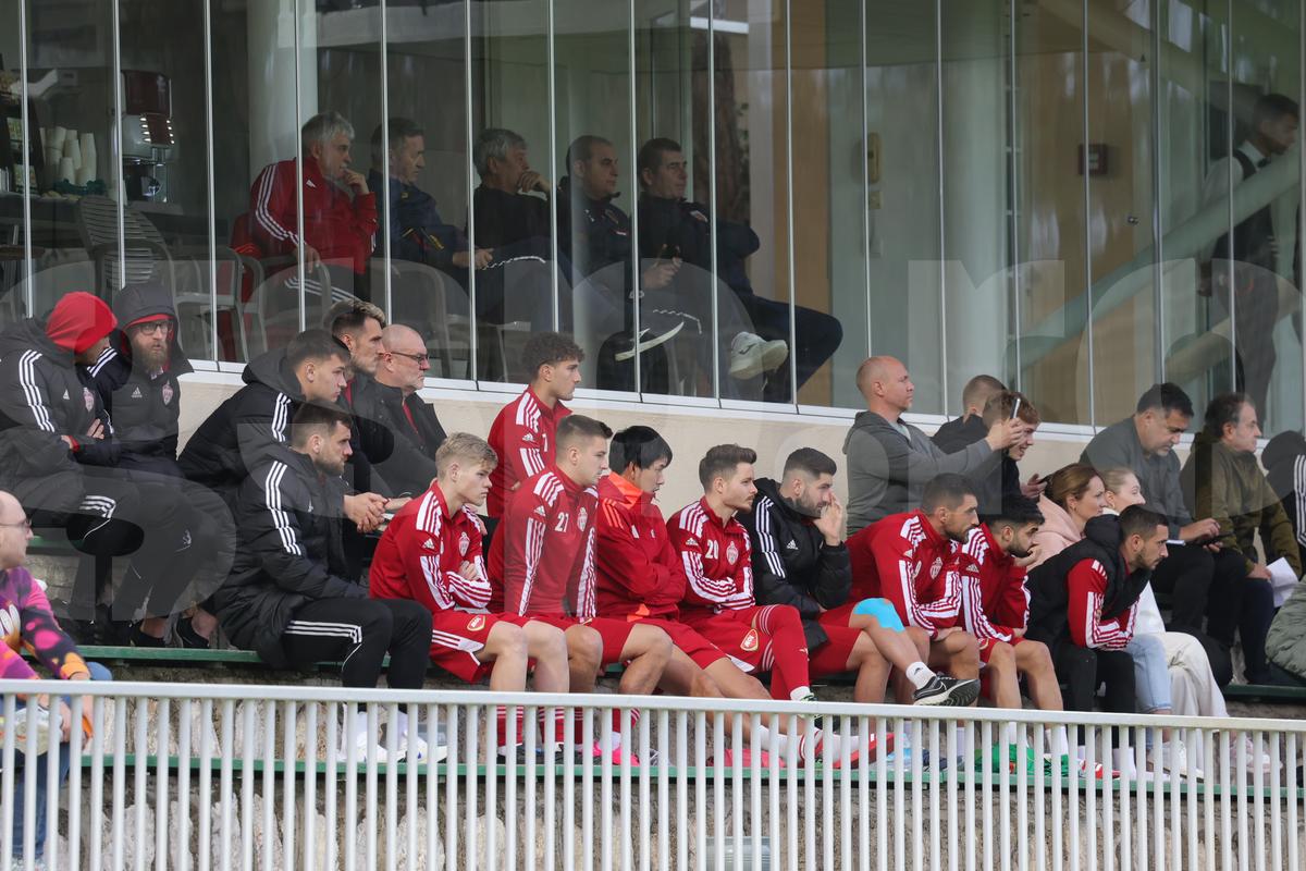 Amical Sepsi - Young Boys