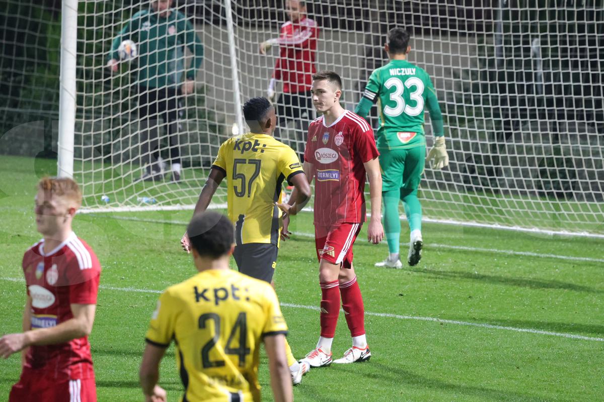 Amical Sepsi - Young Boys