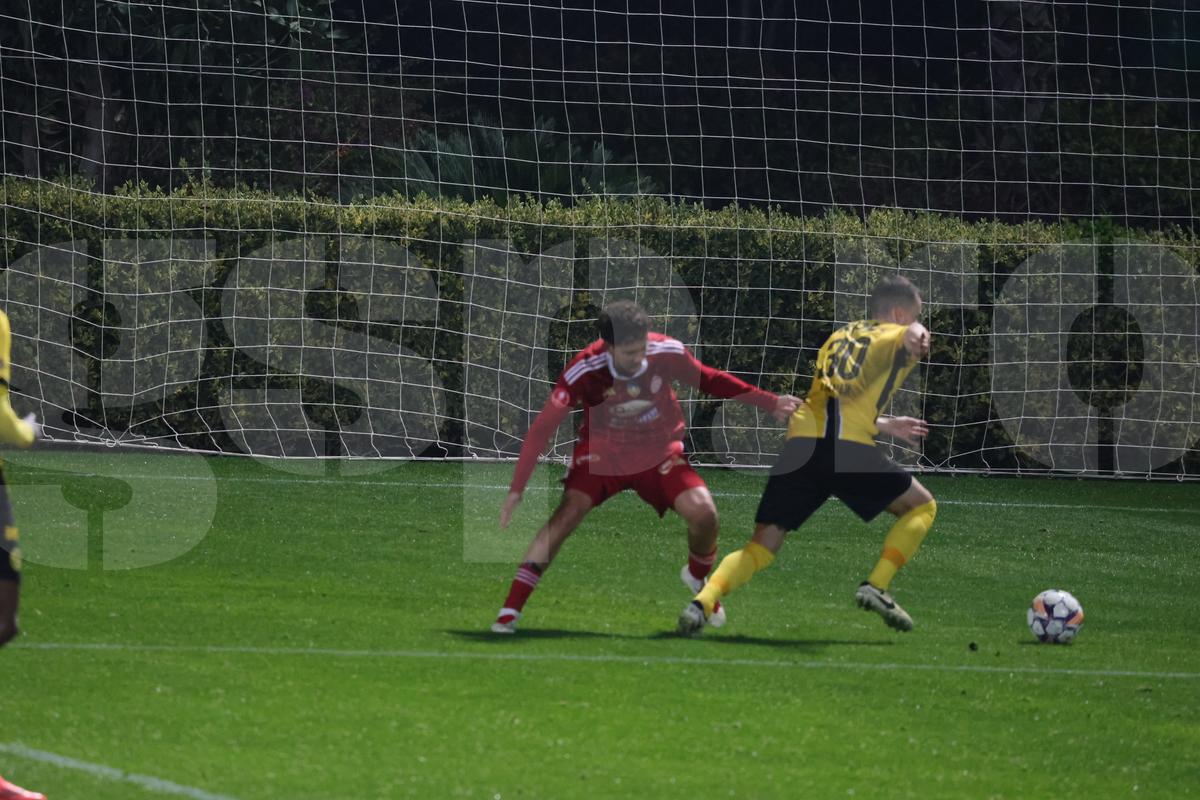 Amical Sepsi - Young Boys