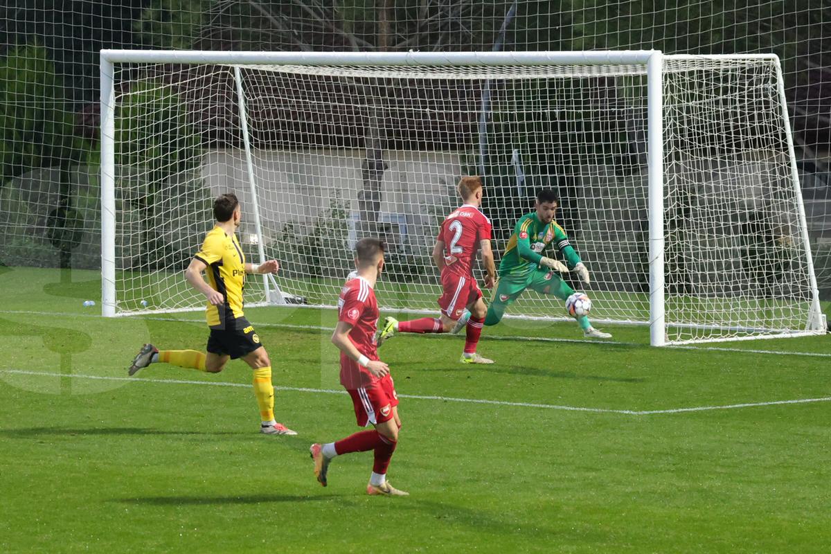Amical Sepsi - Young Boys