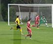 Imagini de la amicalul Sepsi - Young Boys FOTO: Ionuţ Iordache (GSP)
