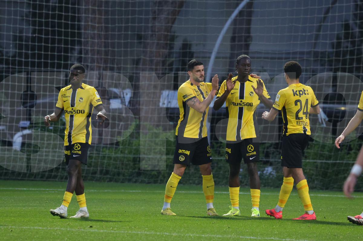 Amical Sepsi - Young Boys