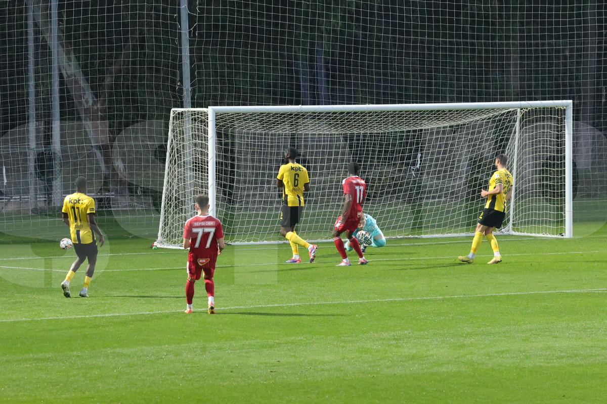 Amical Sepsi - Young Boys