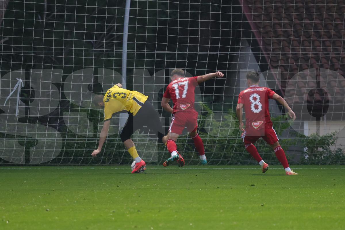 Amical Sepsi - Young Boys