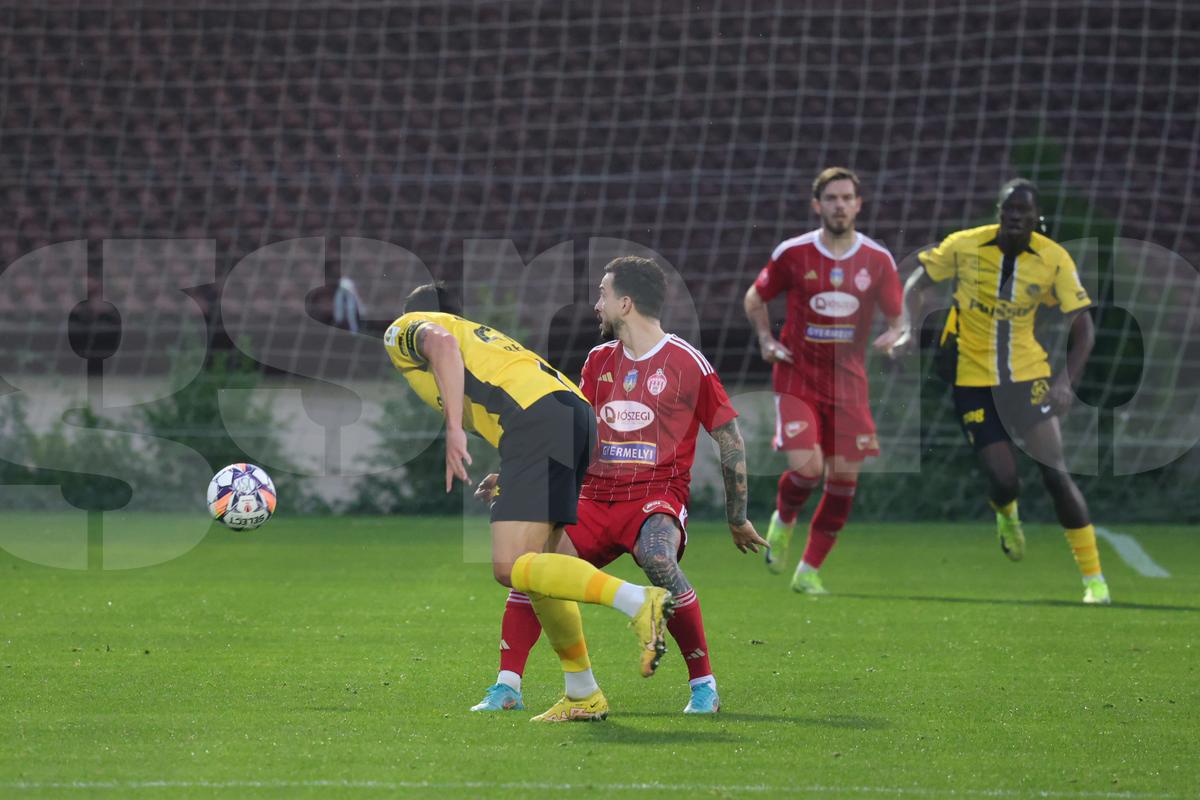 Amical Sepsi - Young Boys