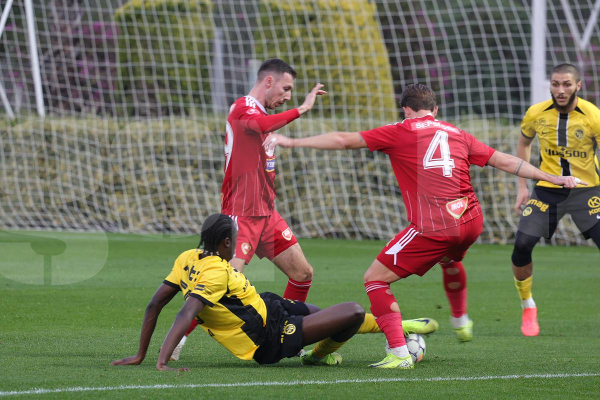 Amical Sepsi - Young Boys