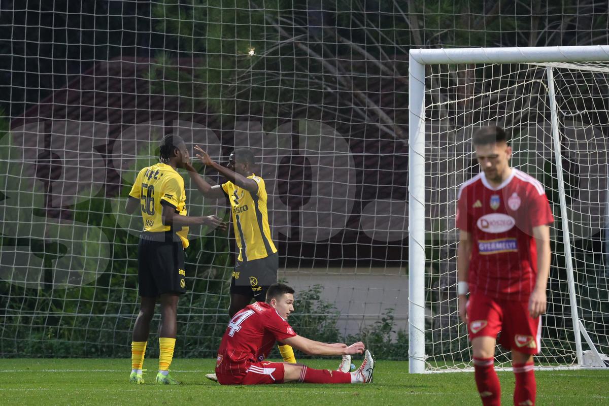Amical Sepsi - Young Boys