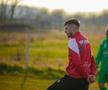 Voința Crevedia ar urma să devină Dinamo 2 după promovare