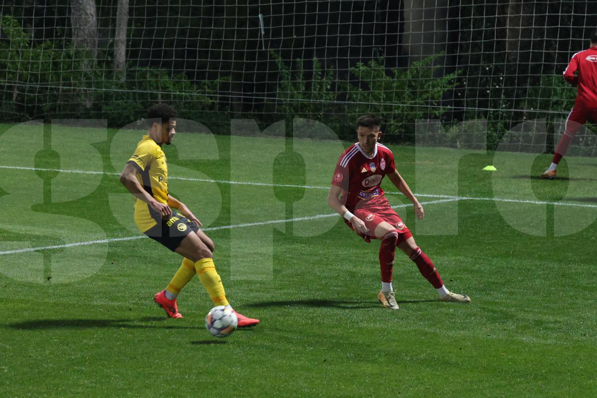 Amical Sepsi - Young Boys