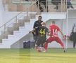 Imagini de la amicalul Hermannstadt - Alemannia Aachen 3-0 FOTO: Ionuţ Iordache (GSP)
