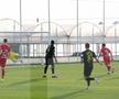 Imagini de la amicalul Hermannstadt - Alemannia Aachen 3-0 FOTO: Ionuţ Iordache (GSP)
