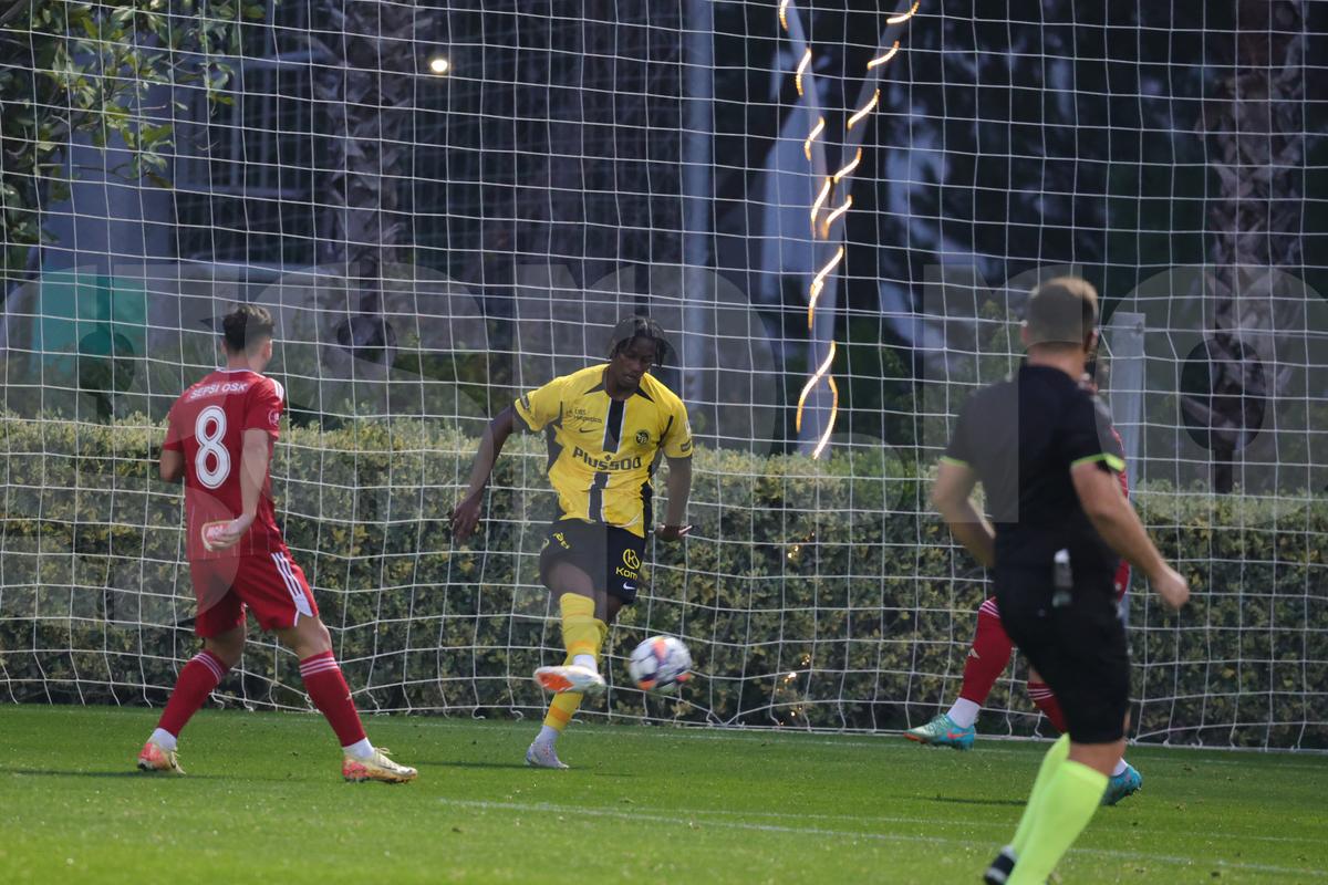 Amical Sepsi - Young Boys