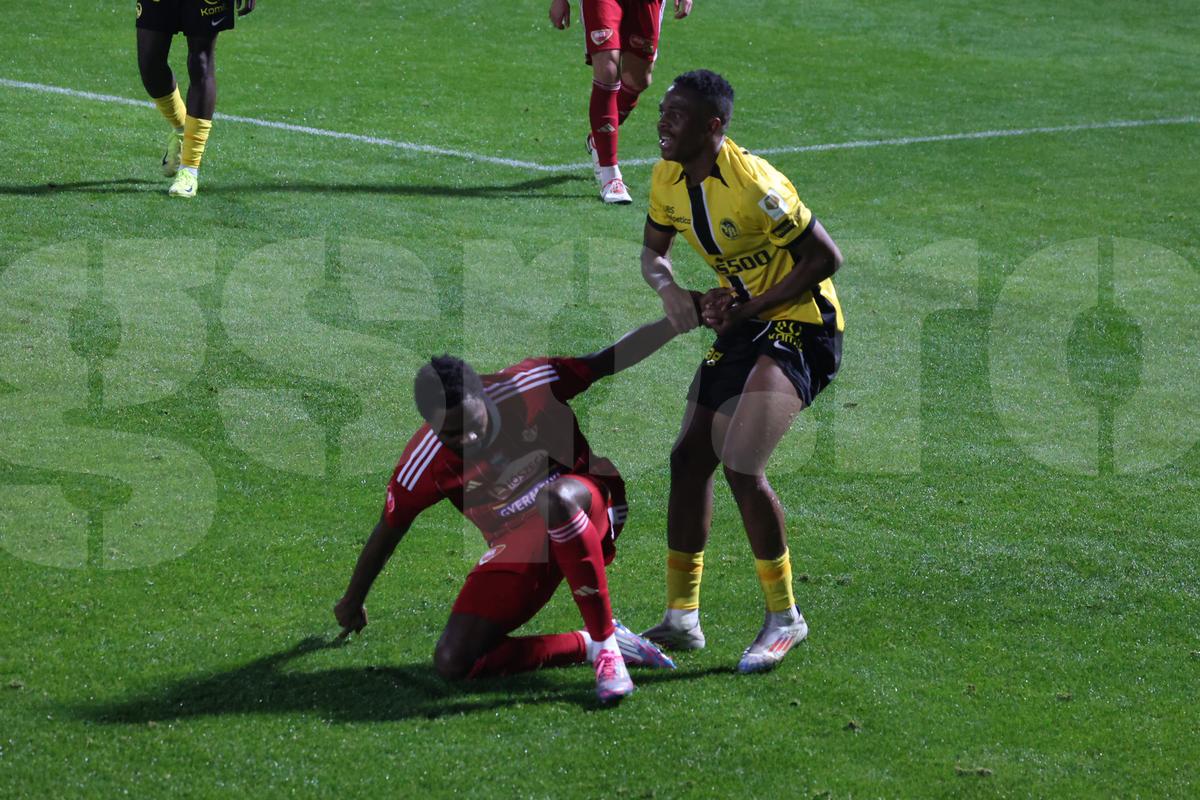 Amical Sepsi - Young Boys