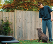 Radu Drăgușin a deschis ușile casei sale / foto: YouTube Tottenham Hotspur