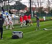 Imagini dinainte de Dinamo - Young Boys Berna