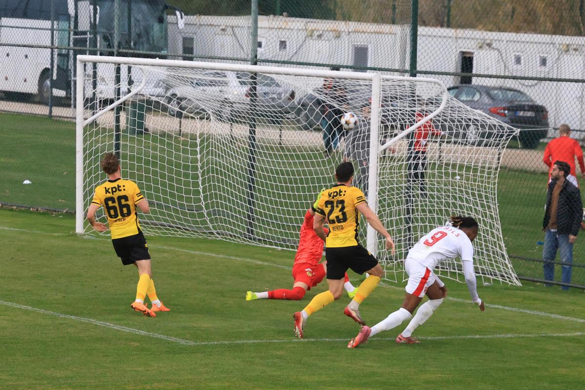 Dinamo - Young Boys, primul amical al „câinilor” în Antalya