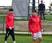 Imagini dinainte de Dinamo - Young Boys Berna