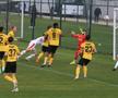Dinamo și Craiova, amical spate în spate