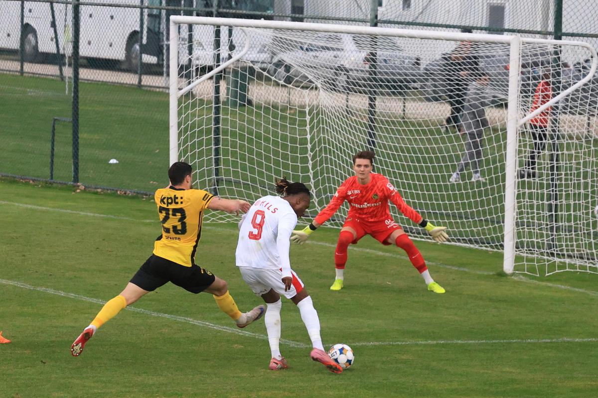 Dinamo - Young Boys 2-0 » „Câinii” au început cu dreptul cantonamentul din Antalya