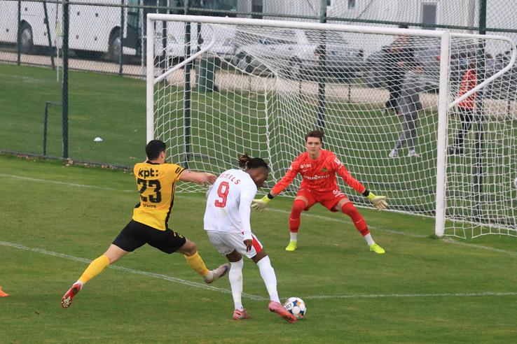Dinamo - Young Boys, primul amical al „câinilor” în Antalya // FOTO: Ionuț Iordache (GSP)