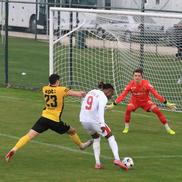 Dinamo - Young Boys, primul amical al „câinilor” în Antalya // FOTO: Ionuț Iordache (GSP)