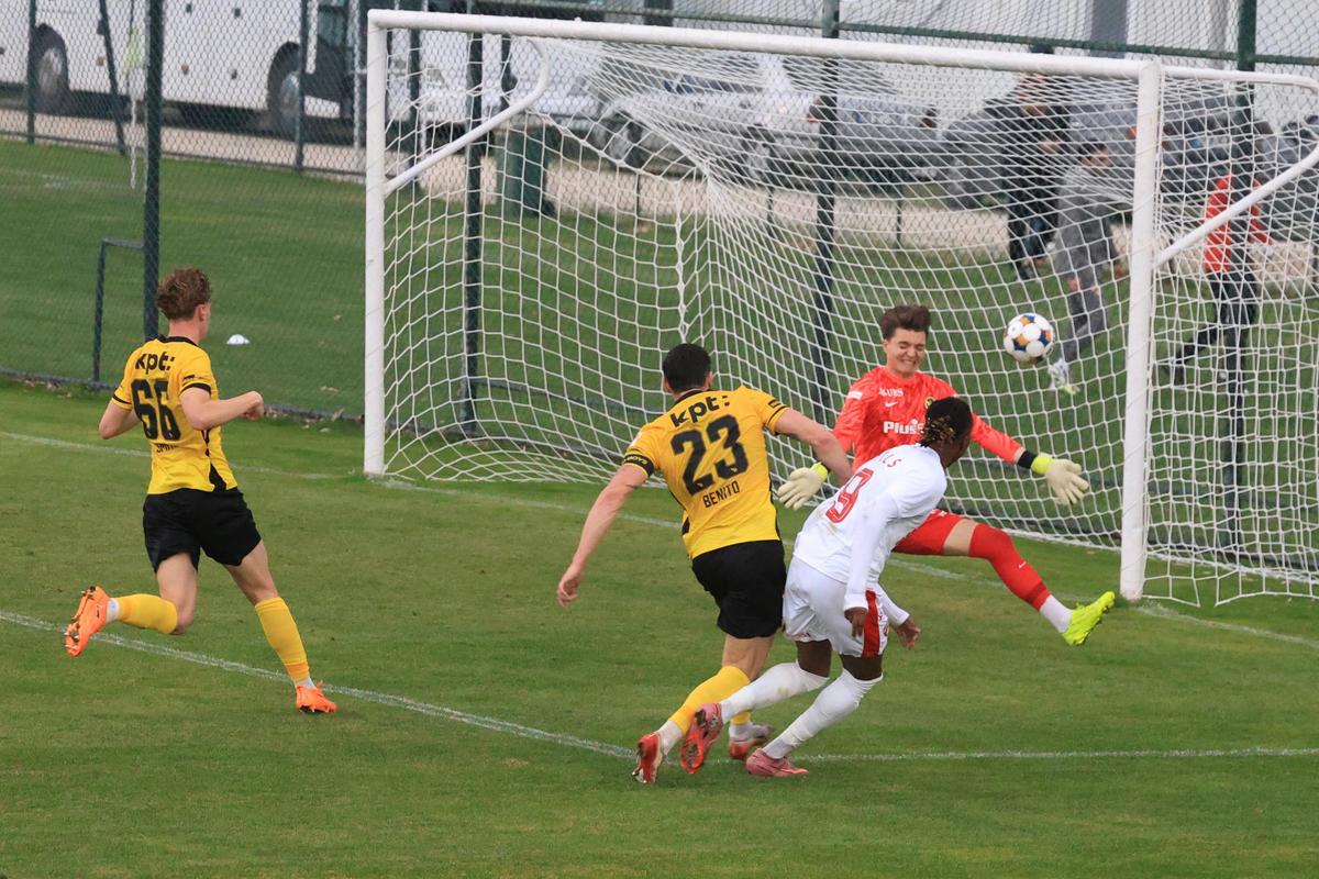 Dinamo - Young Boys, primul amical al „câinilor” în Antalya
