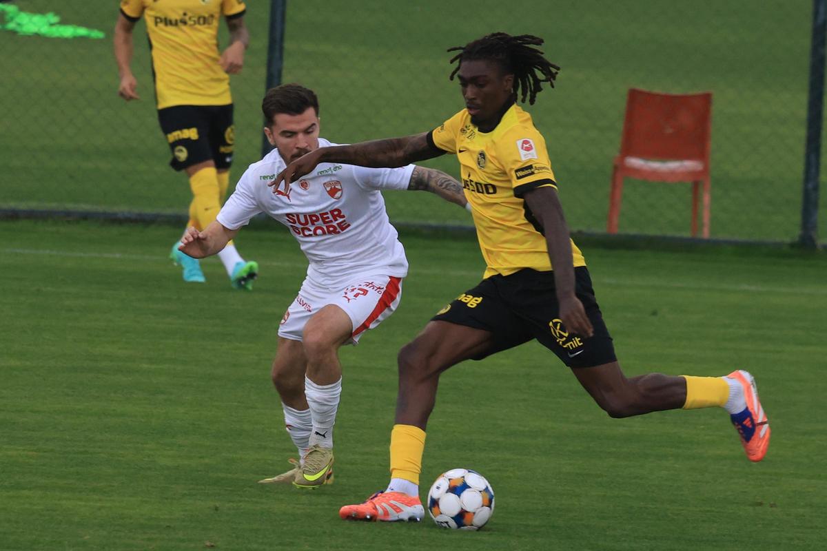 Dinamo - Young Boys, primul amical al „câinilor” în Antalya