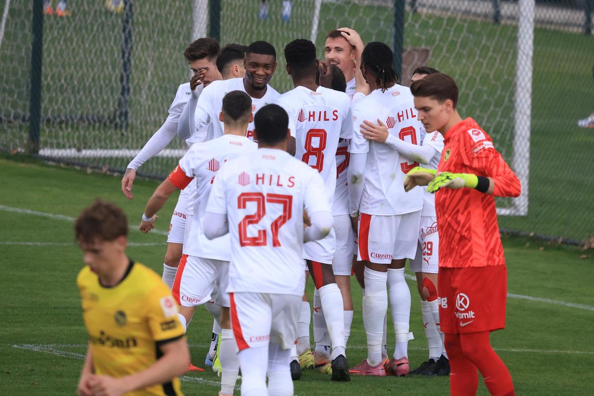 Dinamo - Young Boys, primul amical al „câinilor” în Antalya