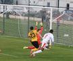 Dinamo - Young Boys, primul amical al „câinilor” în Antalya // FOTO: Ionuț Iordache (GSP)
